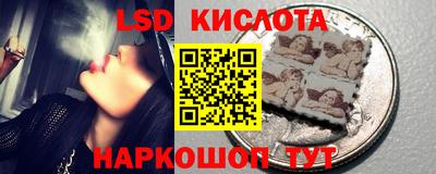 шишки Жуковский