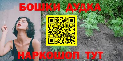 шишки Жуковский