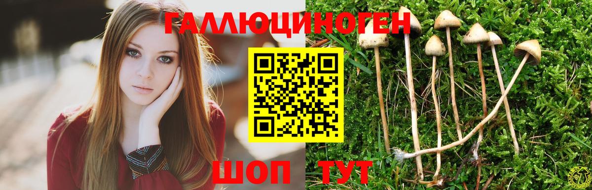 Павлово  Псилоцибиновые грибы Psilocybine cubensis  Вход с VPN 